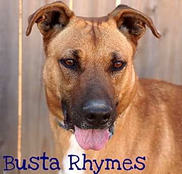 Photo of Busta Rhymes (River)