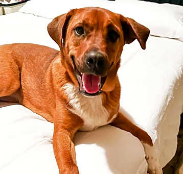Photo of Lulu J