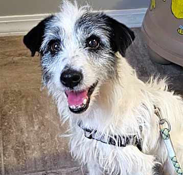 Photo of Waylon