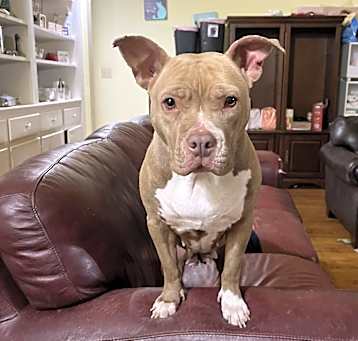 Photo of Sasha