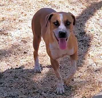 Photo of Beasley