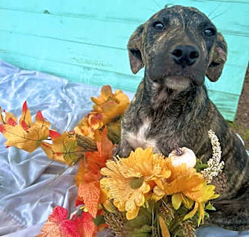 Photo of Eddie