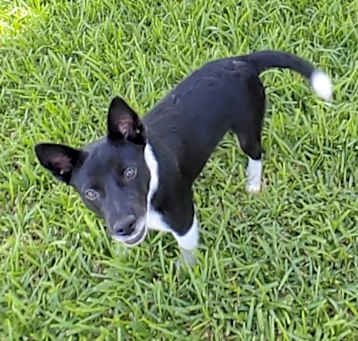 Photo of Gailen