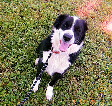 Photo of Jethro