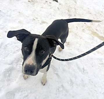 Photo of Bud