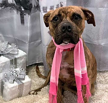 Photo of Lilly