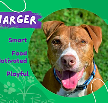 Photo of Charger