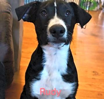 Photo of Rudy