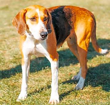 Photo of Lulabelle