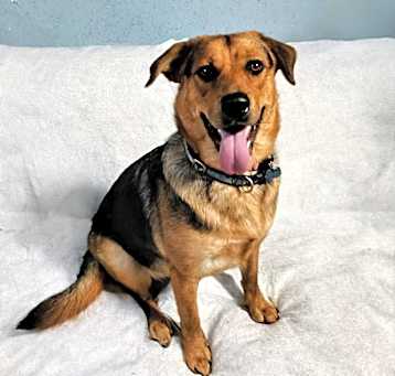 Photo of Darla