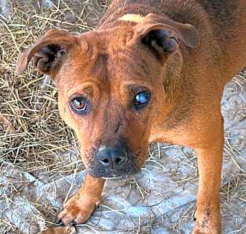 Photo of Mable