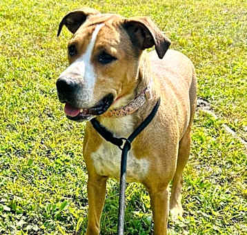 Photo of 24-072/Thelma