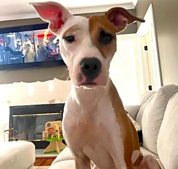 Photo of Bree