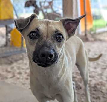 Photo of Sally