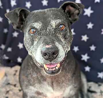 Photo of Athena