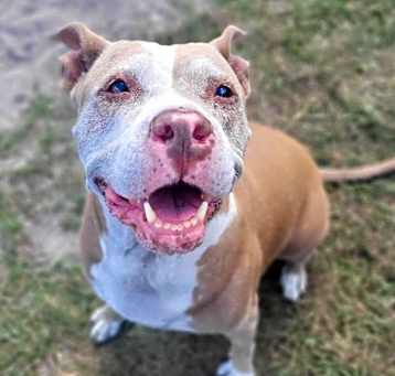 Photo of Fiona