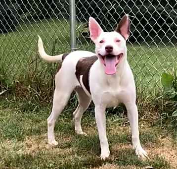 Photo of Nova