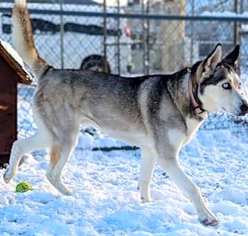 Photo of Echo