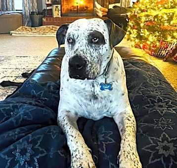 Photo of Mason