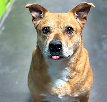Photo of Sammi