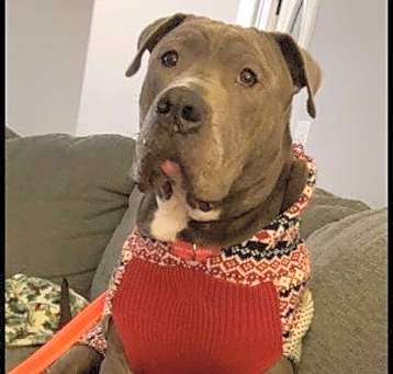 Photo of Smokey