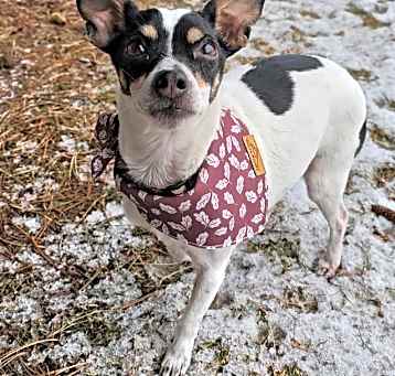 Photo of Evie