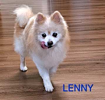 Photo of Lenny
