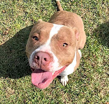 Photo of Winnie