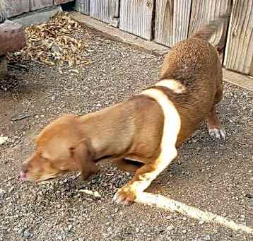 Photo of MAVIS