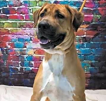 Photo of Annie