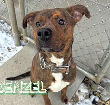 Photo of Denzel