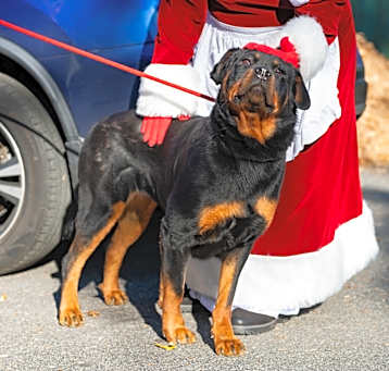 Photo of Ruby