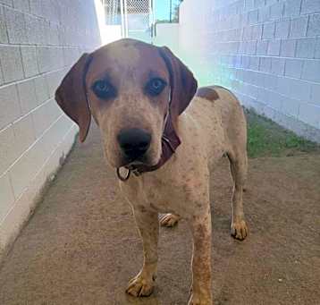 Photo of ROWDY