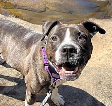 Photo of Bella