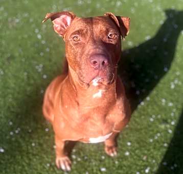 Photo of Holly
