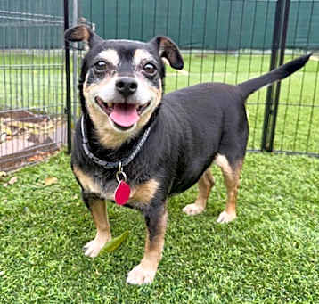 Photo of Mable