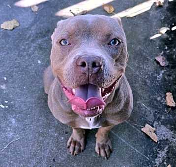 Photo of Keke