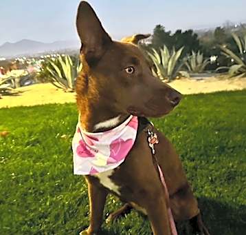 Photo of Lexi