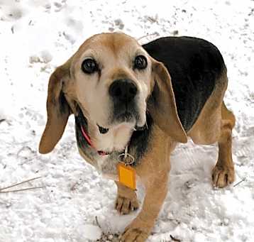 Photo of Jimmy Bean