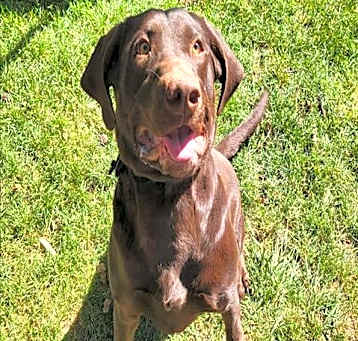 Photo of MOLLY