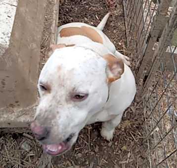Photo of Darla