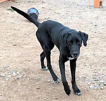Photo of Sprocket