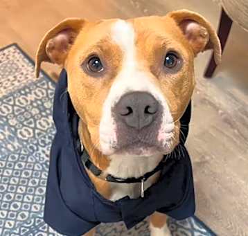 Photo of Sapphire