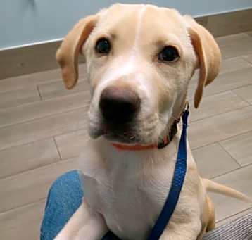 Photo of Waylon
