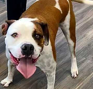 Photo of Oliver