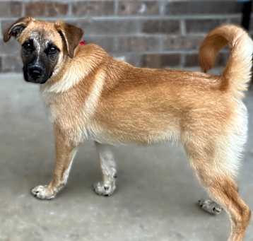 Photo of Slapjack