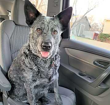 Photo of Madea