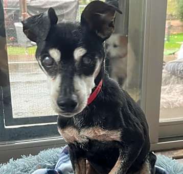 Photo of Jack