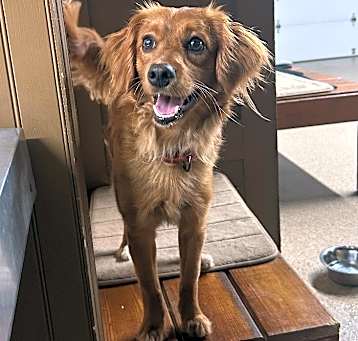 Photo of Sugar