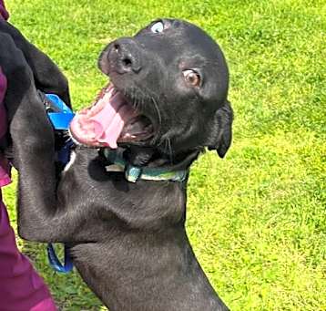 Photo of shadow